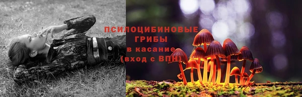 мяу мяу мука Ачинск