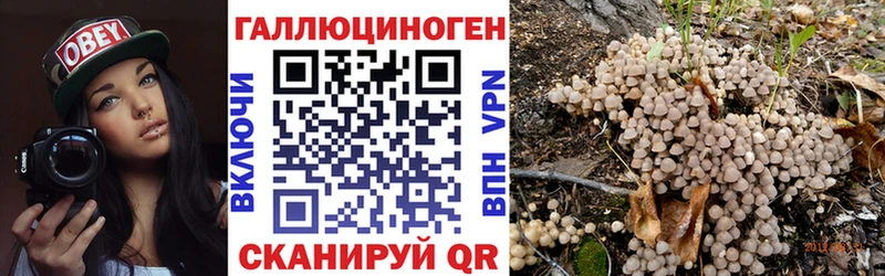 Галлюциногенные грибы прущие грибы  Верхняя Тура 