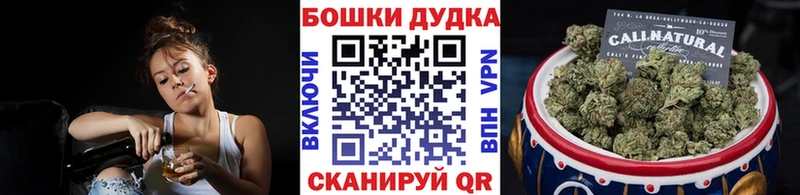 Бошки Шишки ГИДРОПОН  где купить наркоту  Верхняя Тура 
